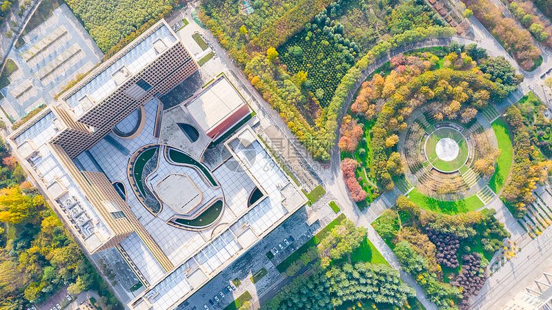 电子产品分类与用途解析：揭秘电子世界的奥秘**