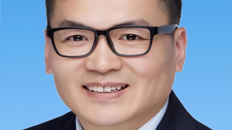 ARM开发板品牌对比：揭秘行业佼佼者背后的技术实力