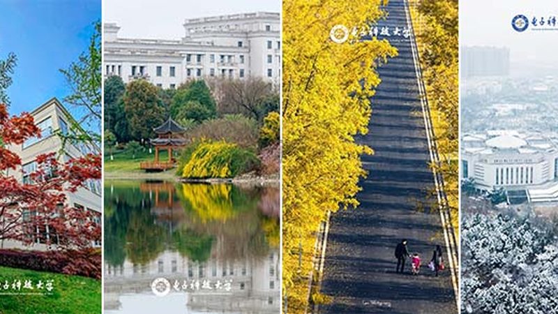 电阻色环：揭秘电子元器件的“身份证